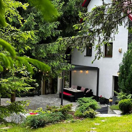 Mountain Chalet - Cabana La Muntele Baisorii Muntele Cacovei  エクステリア 写真