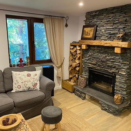 Mountain Chalet - Cabana La Muntele Baisorii Muntele Cacovei  エクステリア 写真
