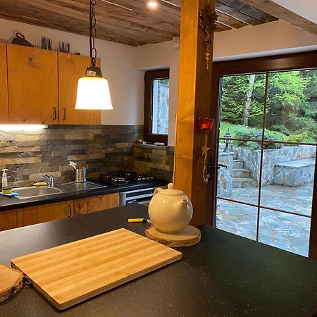 Mountain Chalet - Cabana La Muntele Baisorii Muntele Cacovei  エクステリア 写真