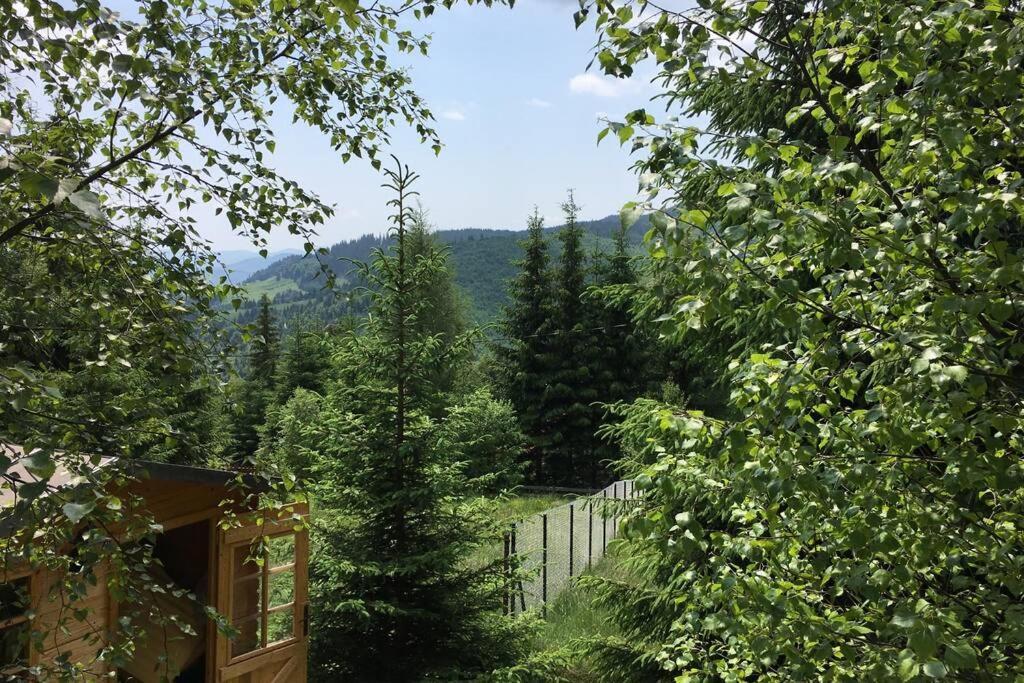Mountain Chalet - Cabana La Muntele Baisorii Muntele Cacovei  エクステリア 写真