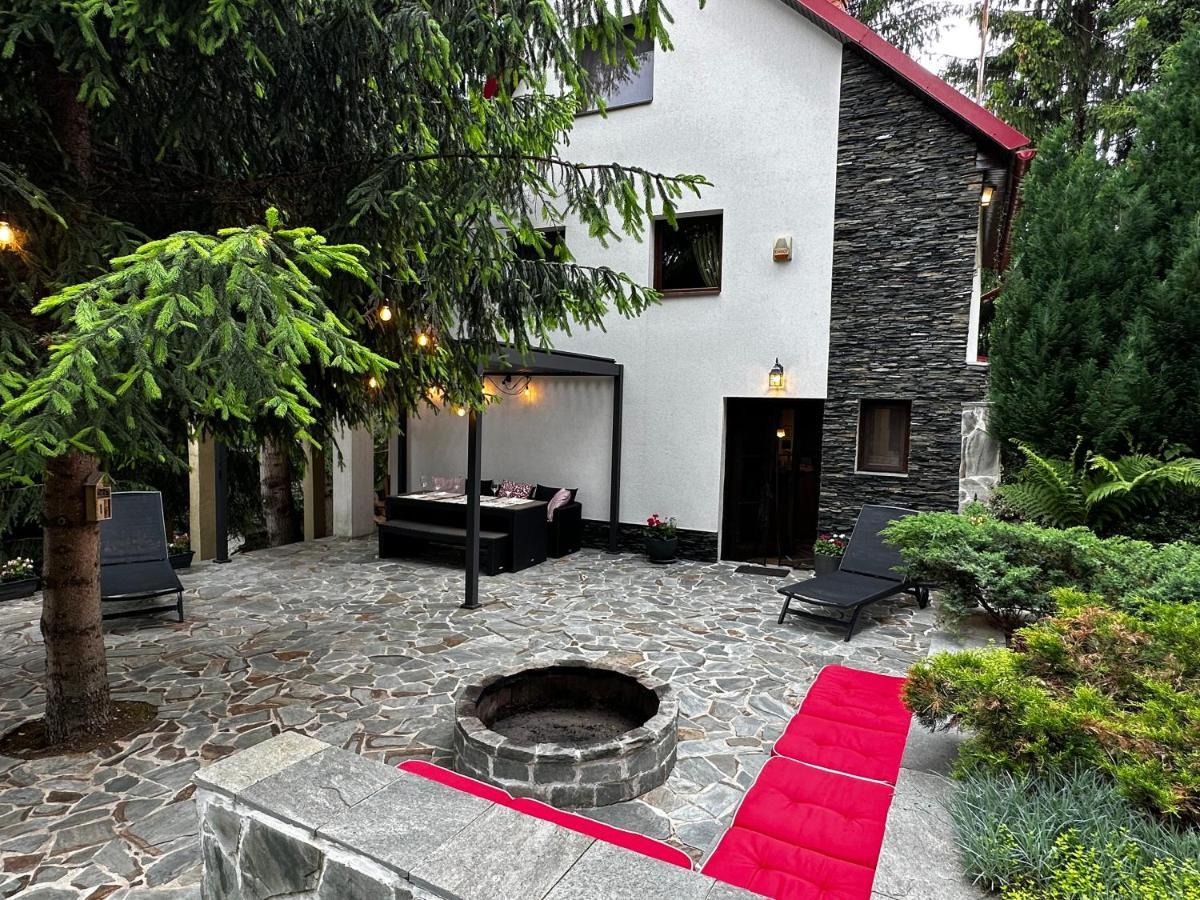 Mountain Chalet - Cabana La Muntele Baisorii Muntele Cacovei  エクステリア 写真