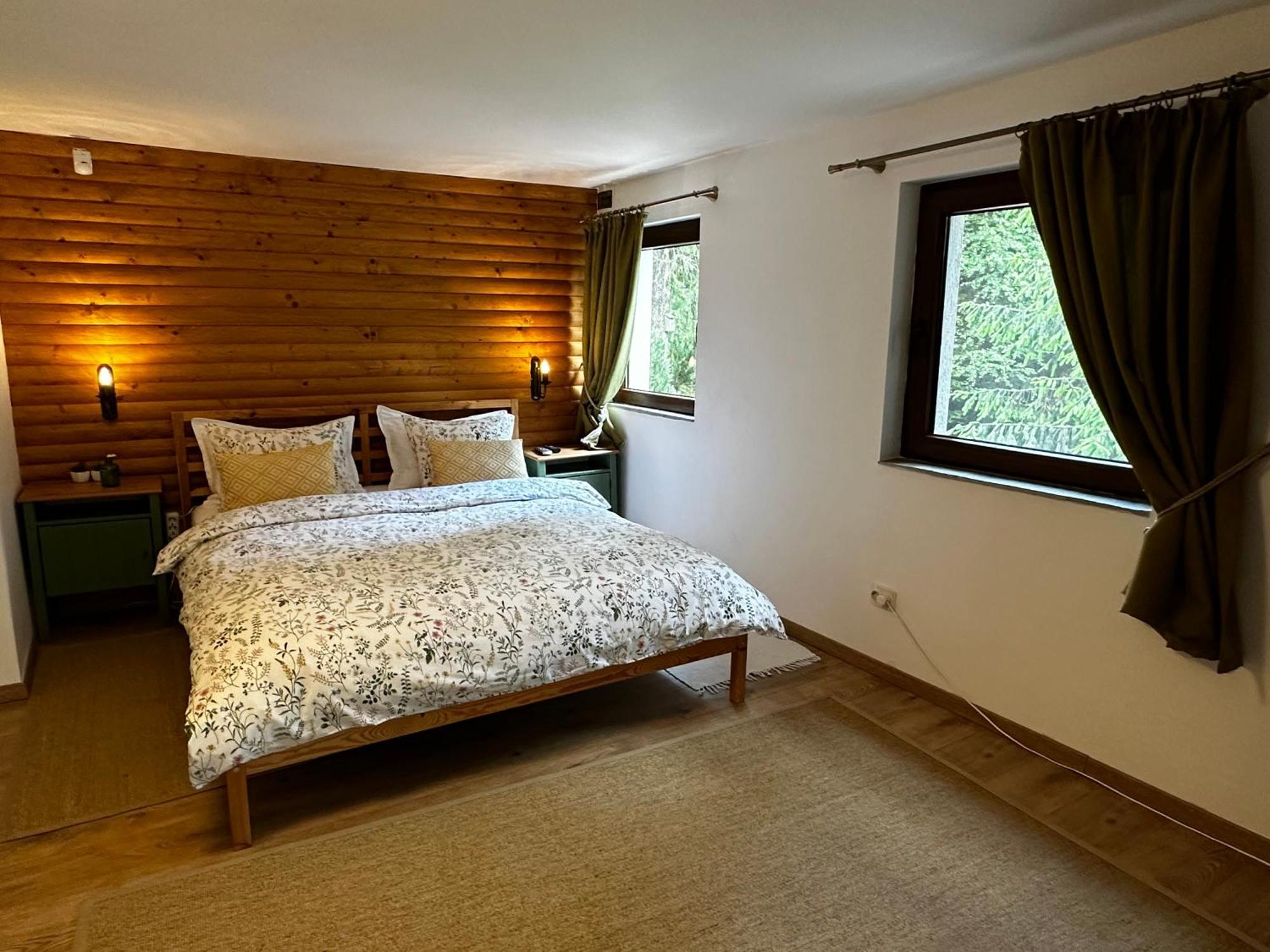 Mountain Chalet - Cabana La Muntele Baisorii Muntele Cacovei  エクステリア 写真
