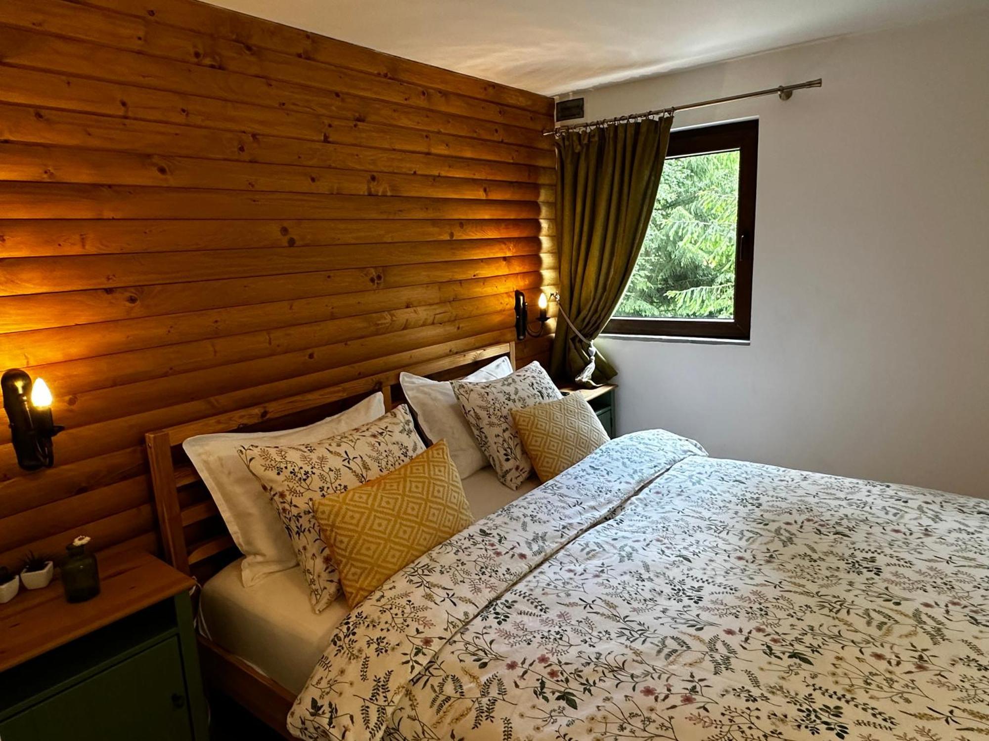 Mountain Chalet - Cabana La Muntele Baisorii Muntele Cacovei  エクステリア 写真