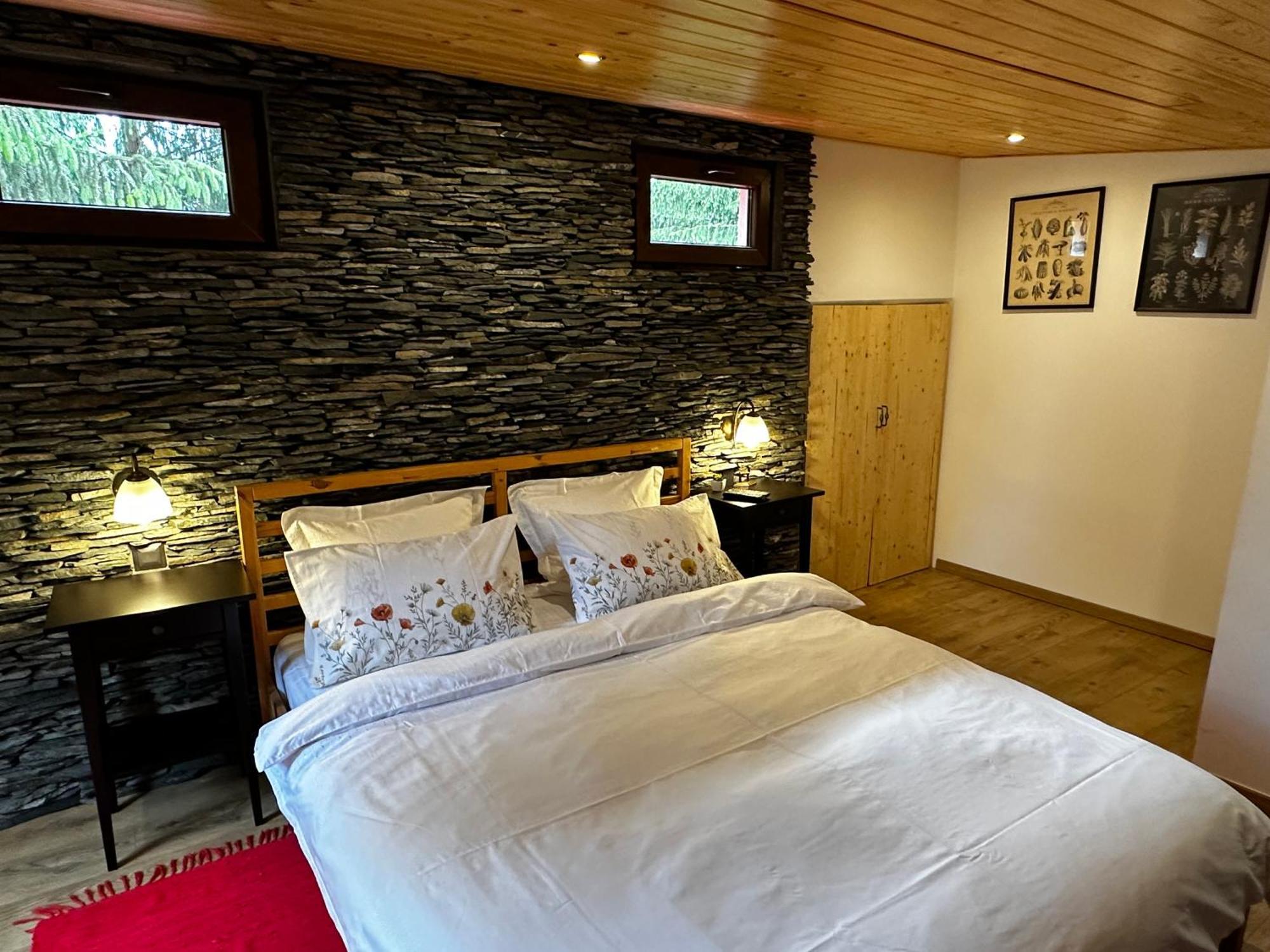 Mountain Chalet - Cabana La Muntele Baisorii Muntele Cacovei  エクステリア 写真