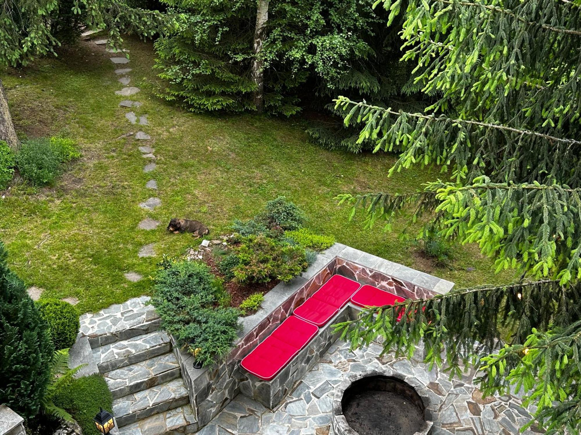 Mountain Chalet - Cabana La Muntele Baisorii Muntele Cacovei  エクステリア 写真